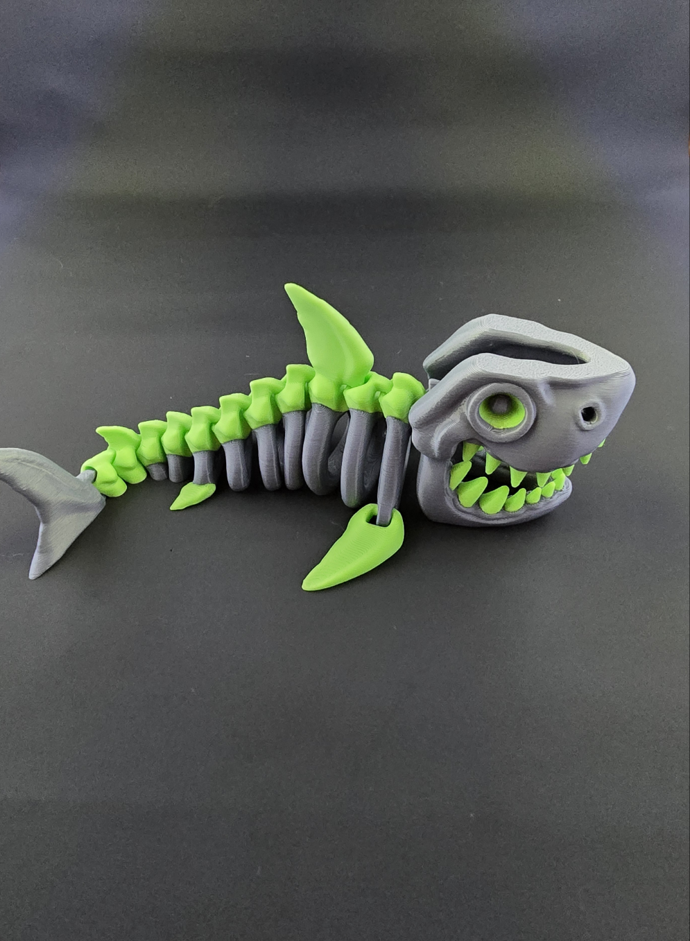 Skeleton Shark