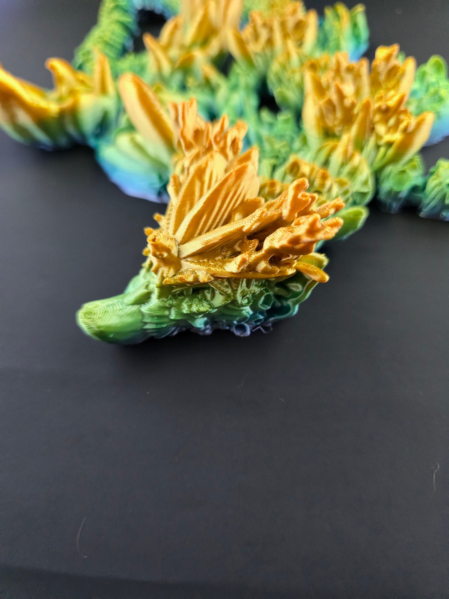 Coral Reef Dragon