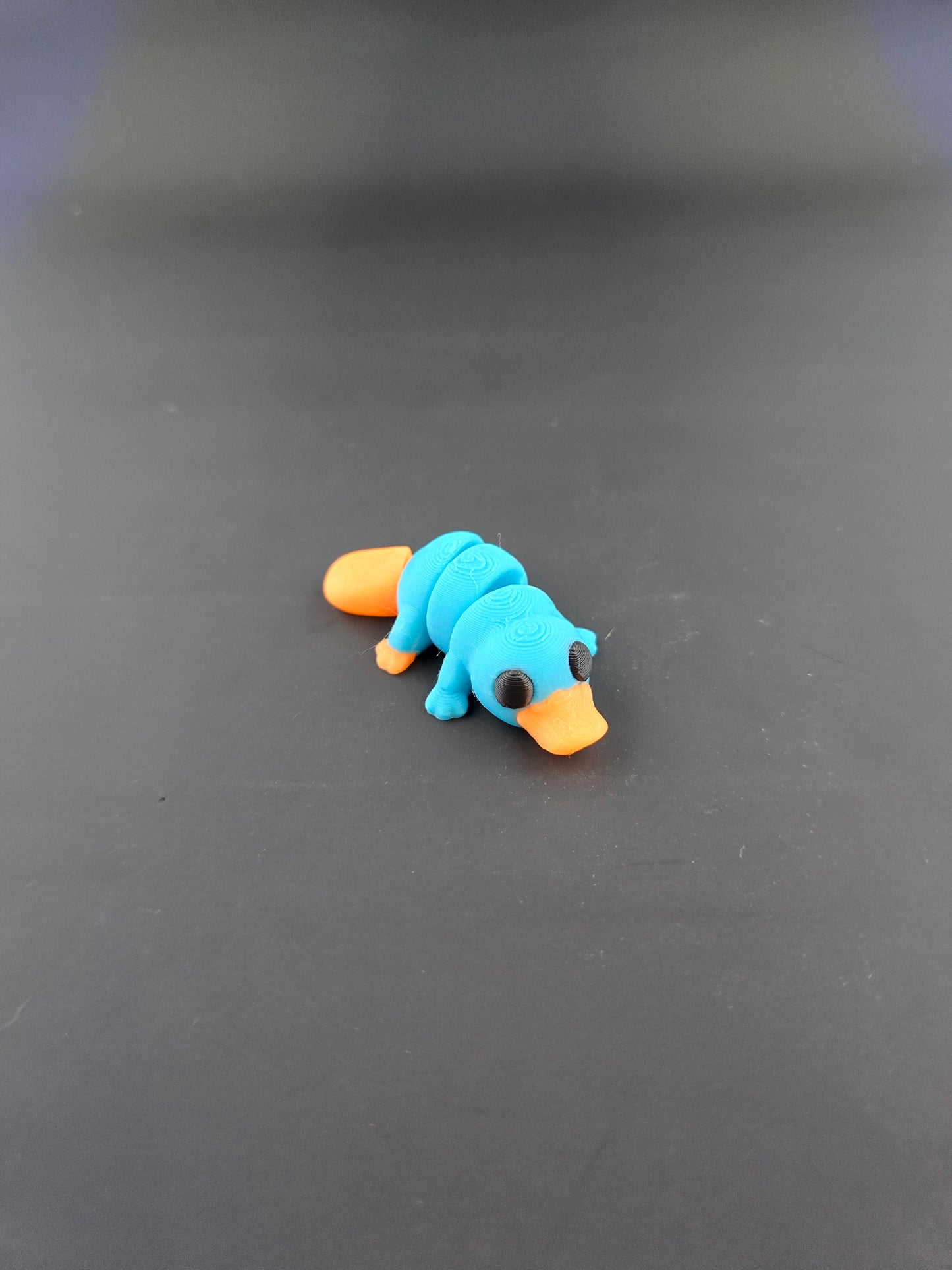 Tiny Platypus