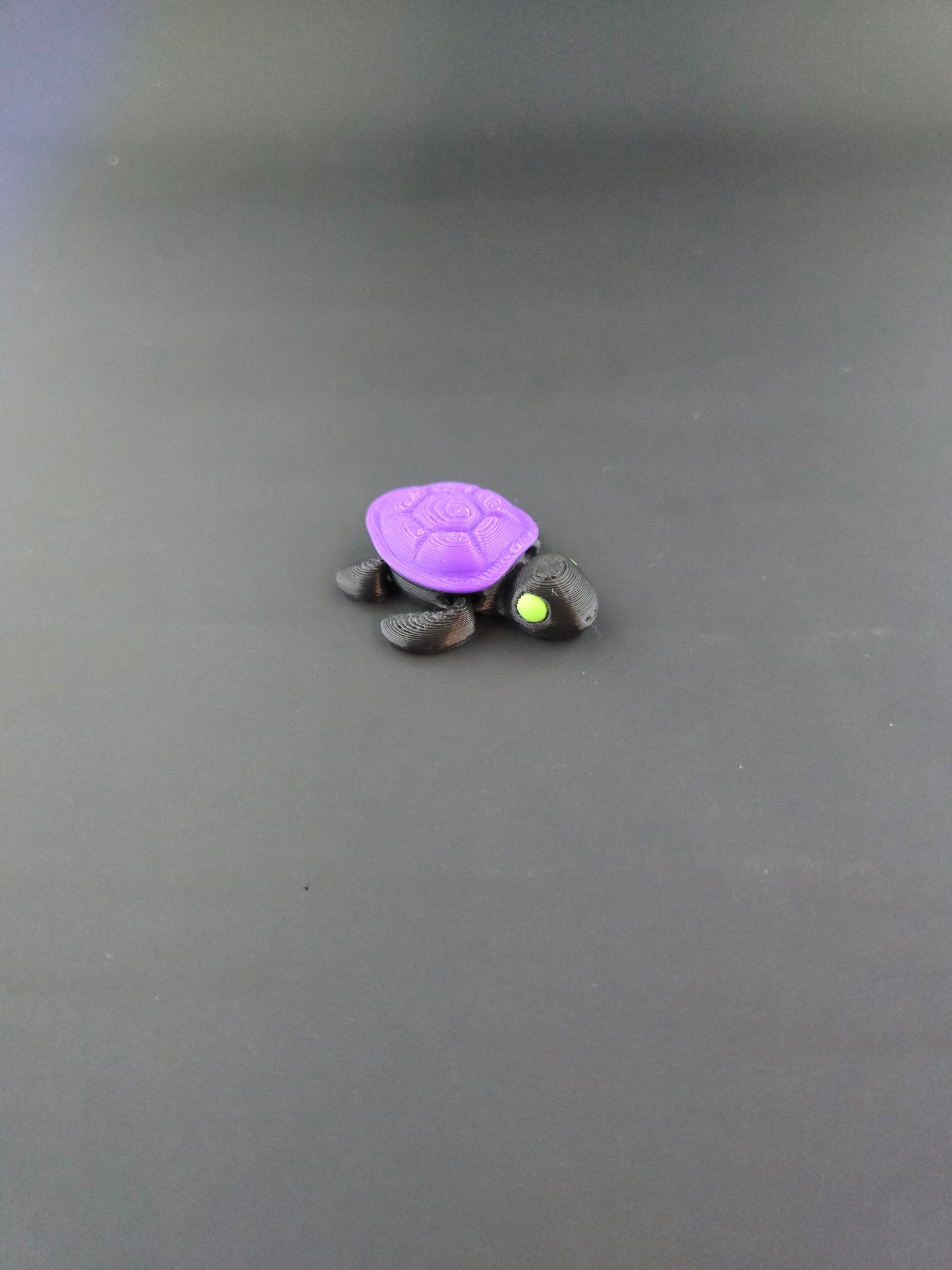 Tiny Turtle