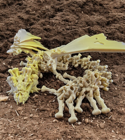 Hollow Dragon