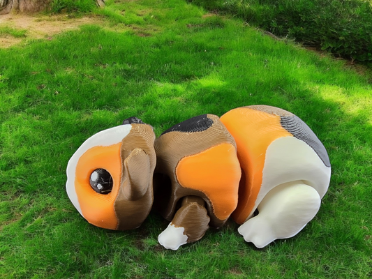 Flexi Guinea Pig